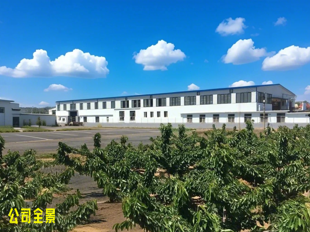 公司全景